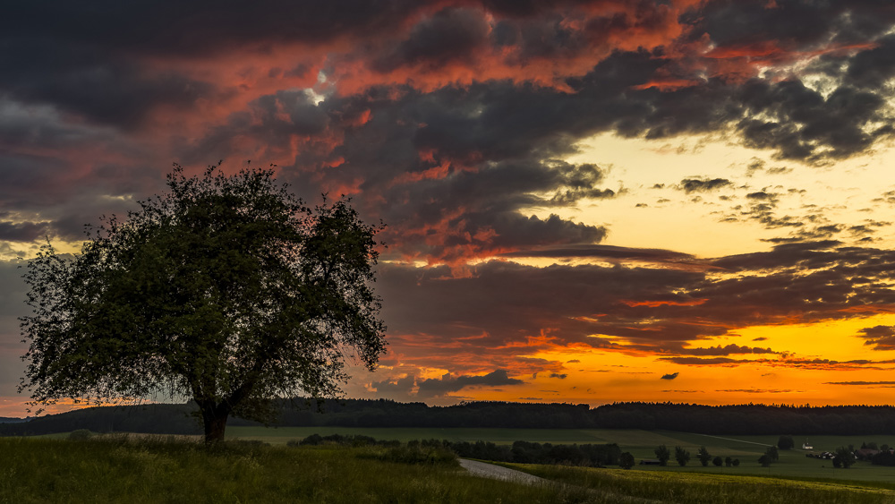 Platz 5 Conny Kleiner
